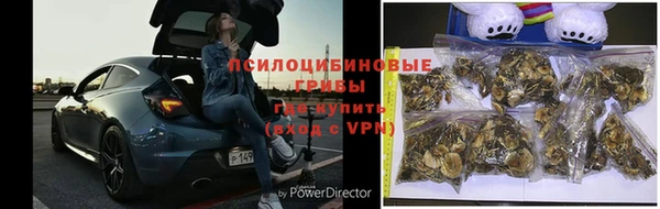 трава Володарск