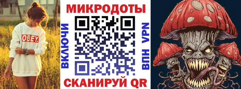 Псилоцибиновые грибы Psilocybe Борисоглебск