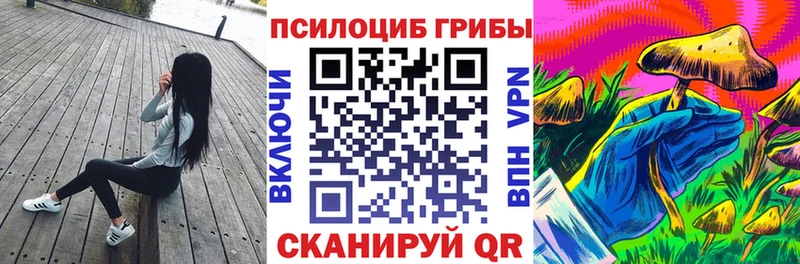 Купить где  Борисоглебск  Галлюциногенные грибы прущие грибы 